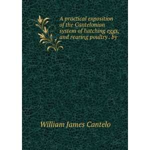   eggs, and rearing poultry . by . William James Cantelo Books