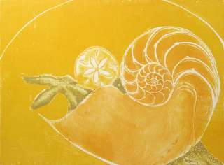 Lin Carte Anderson, Chambered Nautilus Signed Color Art Etching shell 