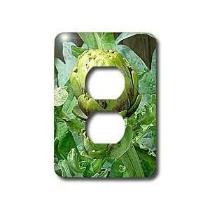  Vegetables   Artichoke   Light Switch Covers   2 plug 