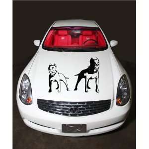 Pitbull Dogs Animal Cute Design Hood Vinyl Sticker Decals A324  