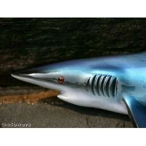   Quality Fiberglass 14  Blue Shark Wall Mount