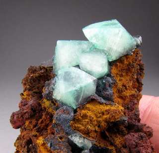 Cuprian Adamite, Mapimi, Durango, Mexico  