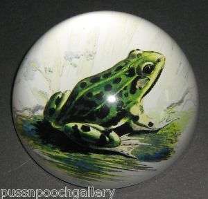 Green Spotted Frog Decorative Glass Paperweight  
