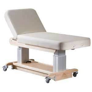  Oakworks Celesta Performa Lift Table with Backrest Health 