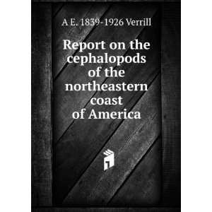 Report on the cephalopods of the northeastern coast of America A E 