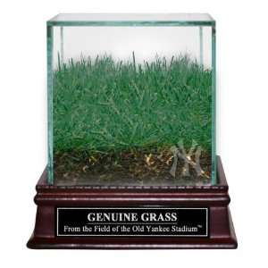   Yankee Stadium Actual Grass Turf with Display Case