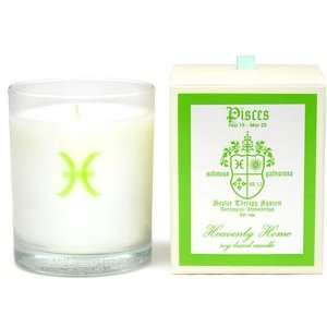  Soular Therapy Pisces Candle