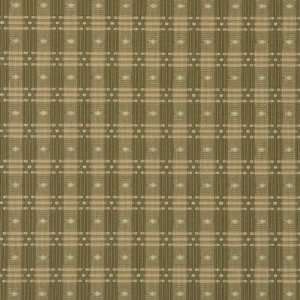  Fabricut Chiclets Artichoke 3128503