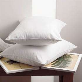 Down Encompass Dual Chamber Standard Pillow  