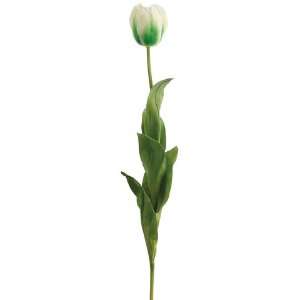  41 Giant Tulip Spray Cream Green (Pack of 4)