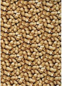 SNACKS PEANUTS IN THE SHELL~ Cotton Quilt Fabric  