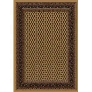  Innovation Collection Serabend Maize Nylon Area Rug 7.70 x 