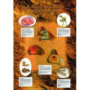  Safari LTD Ancient Dino Discoveries Laminated Poster Toys 