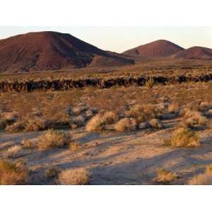Desert Landscape with Cinder Cones and Edge of Lava Flow, Mojave 