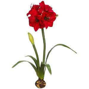  28 Standing Amaryllis w/Bulb Red (Pack of 4)