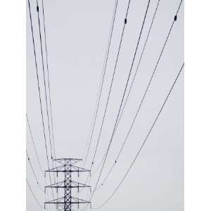  View of High Tension and Industrial Electrical Wires 