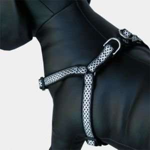 Celtic Step In Dog Harness, Metallic Silver