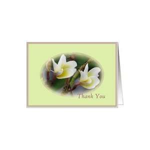  Thank you cancer caregiver white flowers Card Health 