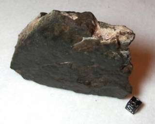 Collection Meteorite Cherry Picked SAHARA DESERT 686Gr  