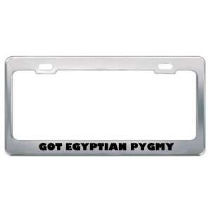  Got Egyptian Pygmy Shrew? Animals Pets Metal License Plate 