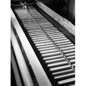  Sheets of Wood Pulp Lined Up Ready to Go into Shredding Machine 