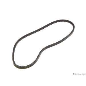  Conti W1002 49949   V Belt Automotive