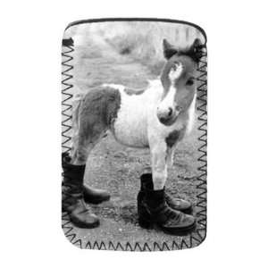  Britains smallest Shetland Pony Lucky   Protective Phone 