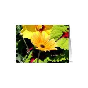  I Love You Shasta Daisy in a Flower Garden Card Health 