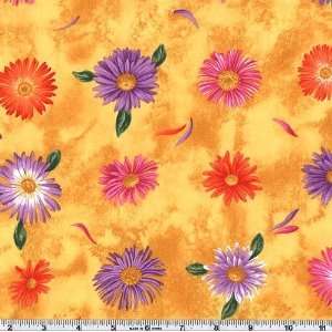  45 Wide Flower of the Month September 07 Aster Amber 