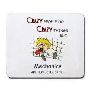  CRAZY PEOPLE DO CRAZY THINGS BUT Mechanics ARE PERFECTLY 