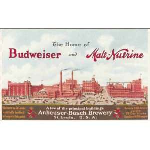   Budweiser and Malt Nutrine. Anheuser Busch Brewery, St. Louis, U.S.A