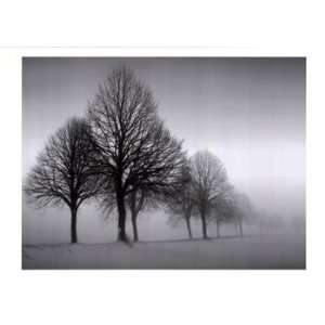  Winter Trees III   Poster by Ilona Wellmann (27.5x19.75 