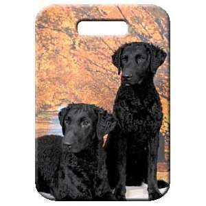  Set of 2 Curly Coated Retriever Luggage Tags Everything 
