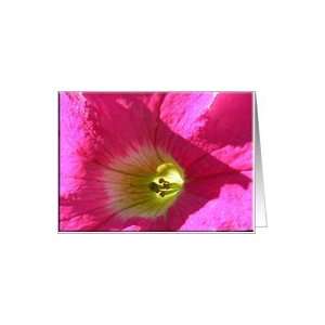 Pink Petunia Card