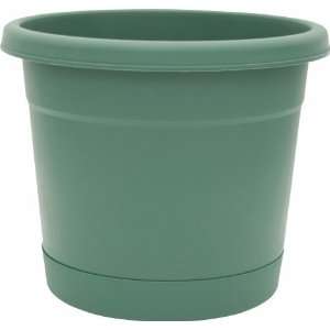  Ames 6in. Fern Rolled Rim Planters RR0624FE   Pack of 24 