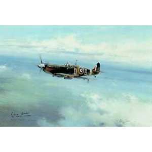  Robert Taylor   Bader Legend SN counter signed by Pilots 