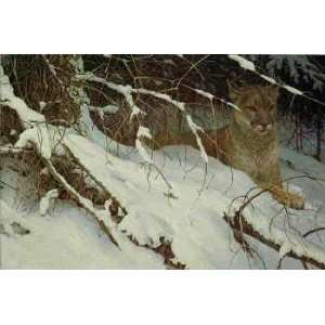  Robert Bateman   Cougar in the Snow