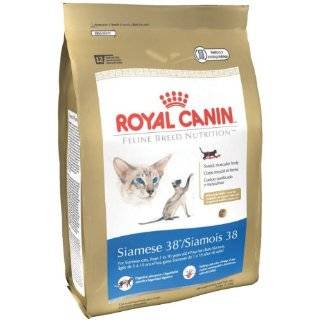 Royal Canin Dry Cat Food, Siamese 38 Formula, 6 Pound Bag by Royal 