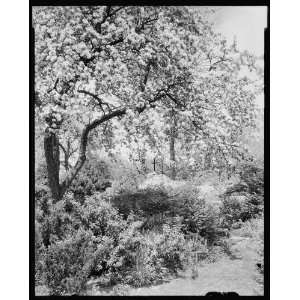  Scalesby,Boyce vic.,Fauquier County,Virginia