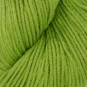   Lite Yarn (4726) Bright Green By The Each Arts, Crafts & Sewing
