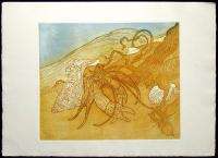Nancy Leslie Hermit Crab HAND SIGNED FINE ART etching sea creatures 