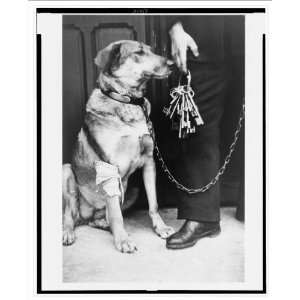 Historic Print (L) [Mr. Caillots dog, with bandage on leg, and keys 