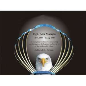  Acrylic Eagle Oval Award   with Printed Eagle Everything 