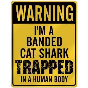 New  Warning I Am Banded Cat Shark Trapped In A Human Body  Parking 