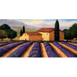  Lavender Field PBN 6x12 INAR2P110 Toys & Games