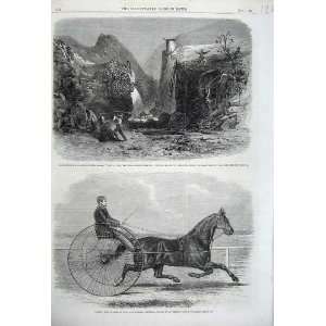   1861 Falconer Theatre Quarry Foil Dhuiv Jackey Horse