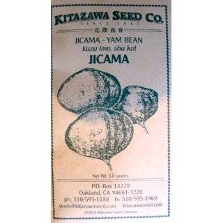 Jicama Yam Bean Asian Seeds