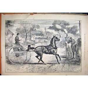  1886 Horse Coach Train Level Crossing Street Old Print 