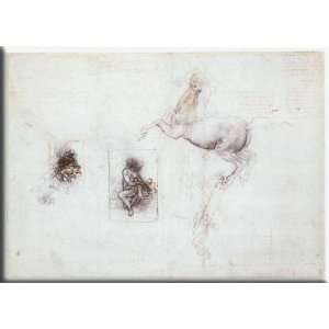  Studies of Leda and a horse 16x11 Streched Canvas Art by 