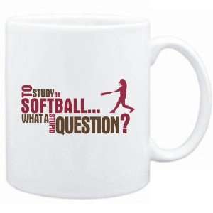  New  To Study Or Softball  What A Stupid Question 